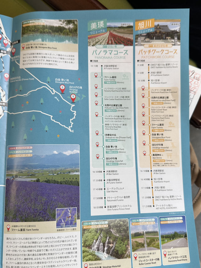 ✨One day trip in Furano แบบไม่เช่ารถ✨