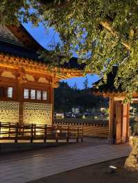 🌿 전주 덕진공원에서 느끼는 한옥과 호수의 고요한 오후 🌅