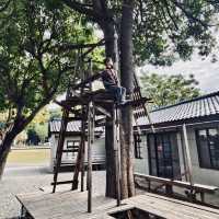 飛機眷村的午後時光——走進「水交社文化園區」