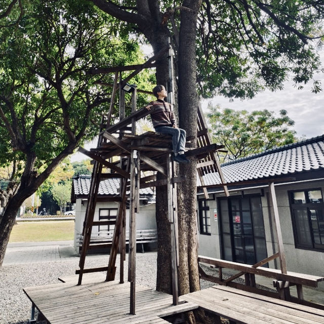 飛機眷村的午後時光——走進「水交社文化園區」