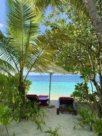 🌴 Honeymoon Bliss at W Maldives: Beach Villa Stay