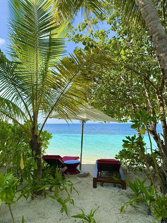 🌴 Honeymoon Bliss at W Maldives: Beach Villa Stay