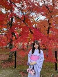 🍁 Autumn Magic in Arashiyama, Kyoto: Your Must-Go Spot!
