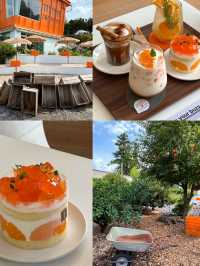 Jeju’s Cutest Café — The Giant Orange Basket!