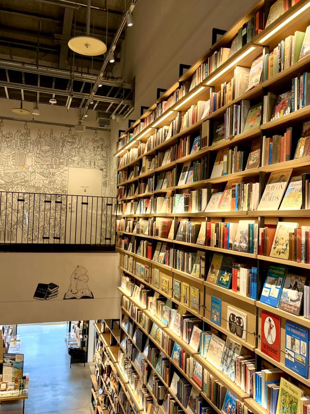 📖 A Cozy Afternoon at Tsutaya Bookstore, Kashiwanoha T-SITE