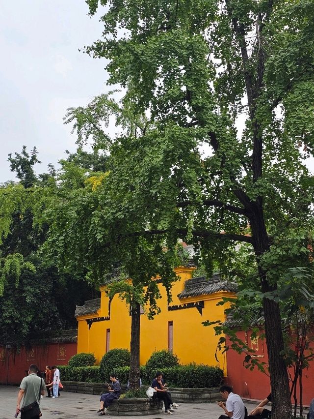Temple Calm Chengdu🌿