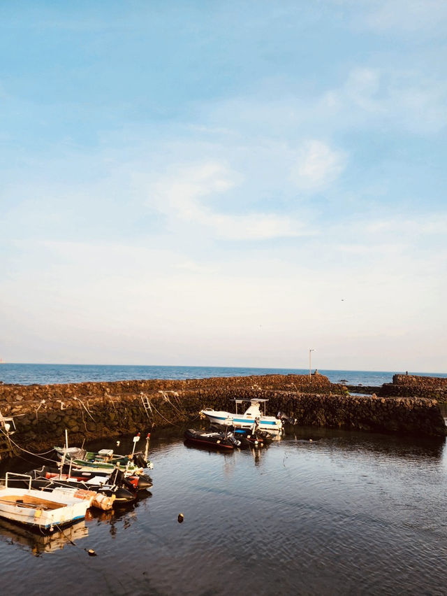 Serene Local Gem near Jeju City Serene Local Gem near Jeju City