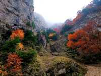 Piatra Craiului National Park