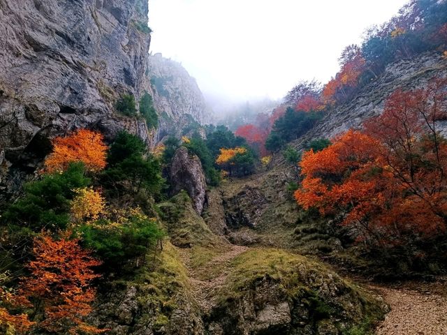Piatra Craiului National Park