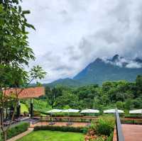 ☕ TATA Chiang Dao — คาเฟ่ + ฟาร์ม วิวดอยหลวงเชียงด