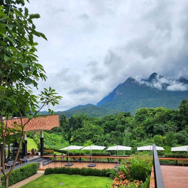 ☕ TATA Chiang Dao — คาเฟ่ + ฟาร์ม วิวดอยหลวงเชียงด