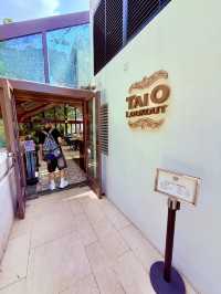 山丘上「大自然與文物」結合的玻璃屋餐廳