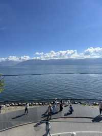 Erhai Lake Loop🚲