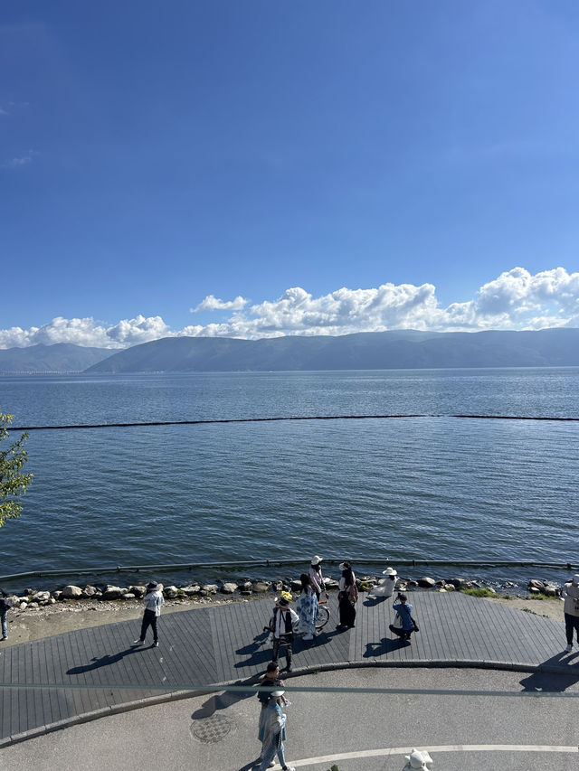 Erhai Lake Loop🚲