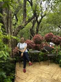เข็คอิน The For Rest Cafe’ หนองคาย