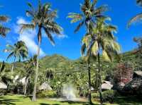 Tropical Bliss and Adventure on Moorea Island