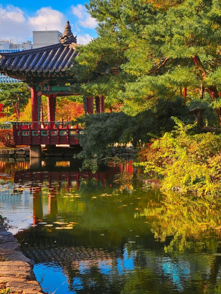 汝矣島公園，您可以在那裡欣賞漢江美景，體驗首爾的秋天。