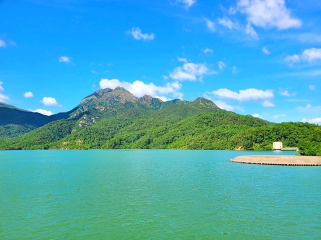 【鳳凰徑第9段~籮箕灣 ⭐】