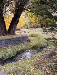 나카지마공원의 아침