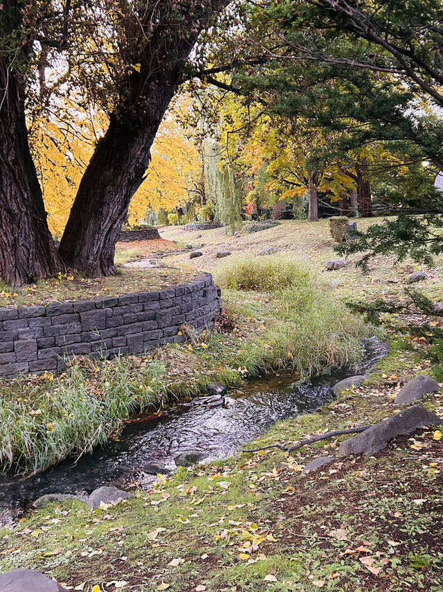 나카지마공원의 아침