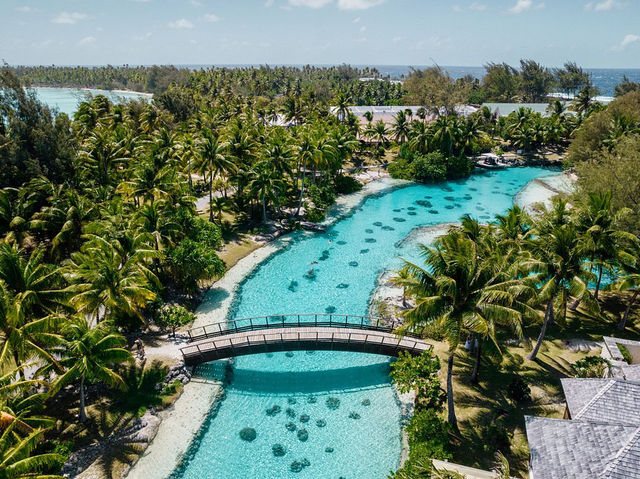 The St. Regis Bora Bora Resort - Gorgeous hotel..all needs anticipated 