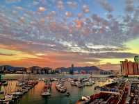 The Amber Echo of Causeway Bay Golden Scales