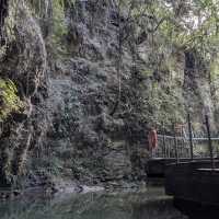 Waitomo Glowworm Caves
