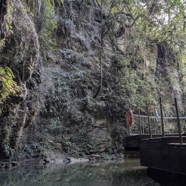 Waitomo Glowworm Caves