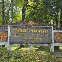 วัดสวนดอก เชียงใหม่