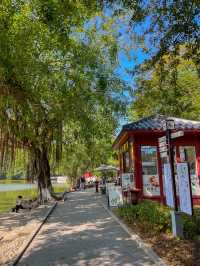 주해 여행에서 꼭 가야할 곳⭐️