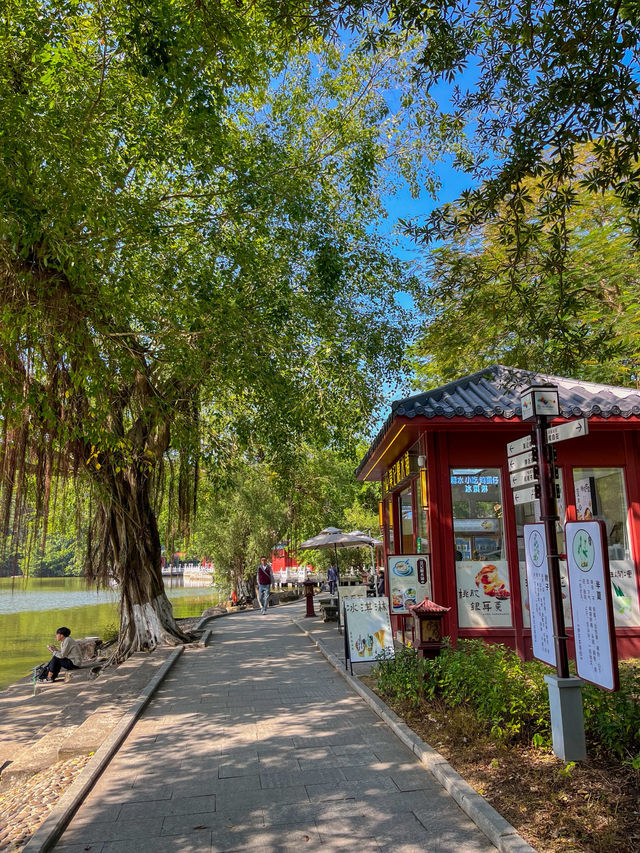 주해 여행에서 꼭 가야할 곳⭐️ 주해 여행에서 꼭 가야할 곳⭐️