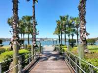 🤍Dreamy Gem Of Sydney🤍