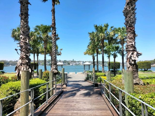 🤍Dreamy Gem Of Sydney🤍