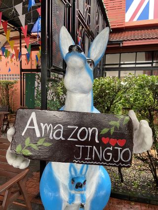 Amazon Jingjo , Chumpon 