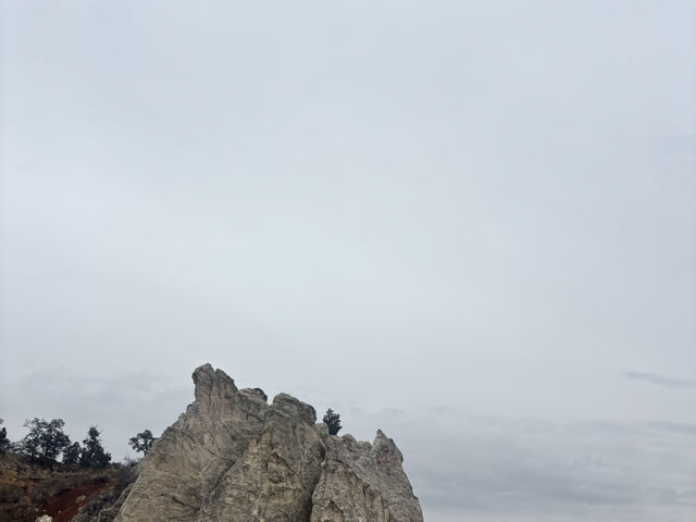 天地之間的剪影：上帝的花園