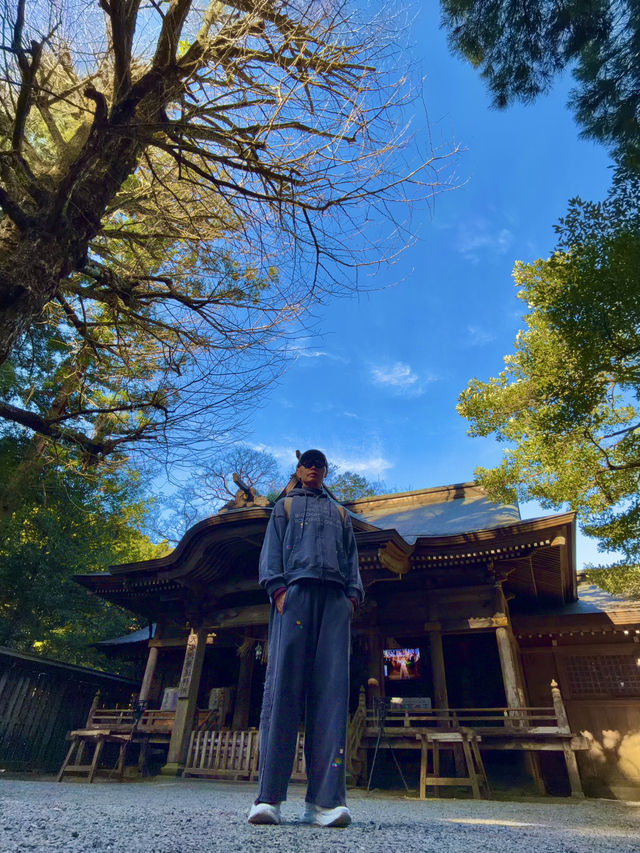 天岩戶神社 天岩戶神社
