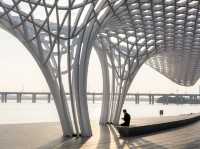 ✨ เที่ยว OH Bay เซินเจิ้น ยามเย็น ✨ ลมทะเลเบา ๆ