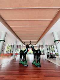 Coastal Bliss at Roxy Beach Resort