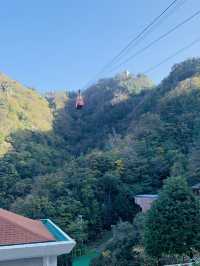 Mountain Market Vibes🌄