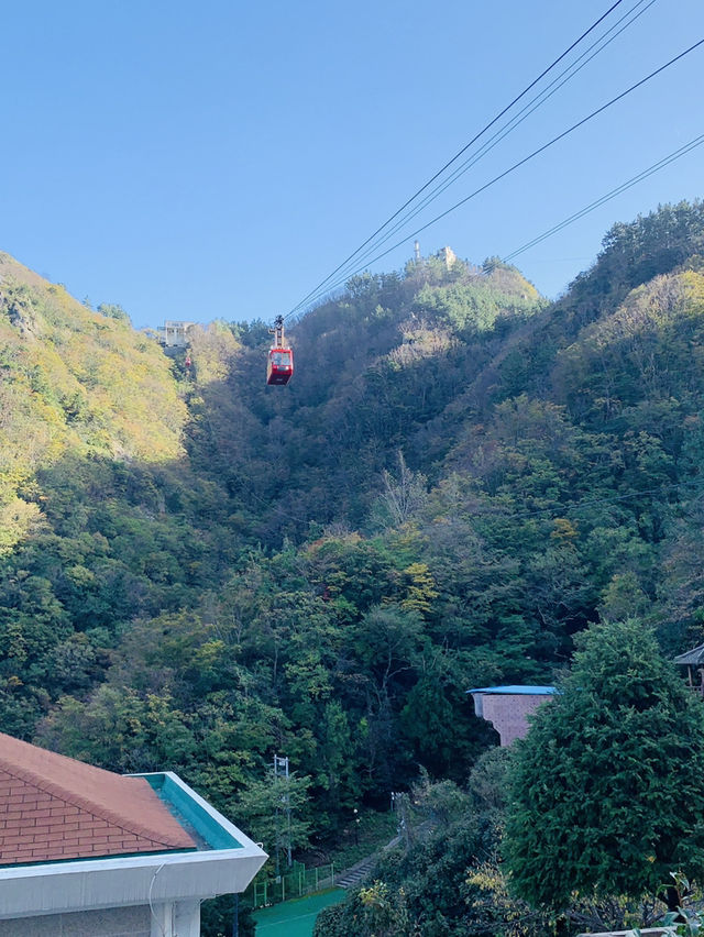 Mountain Market Vibes🌄 Mountain Market Vibes🌄