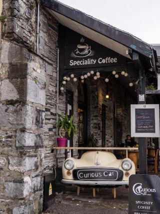 ร้านกาแฟธีมแมวในไอร์แลนด์