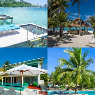 ROMANCE IN PARADISE: Love Like Never Before