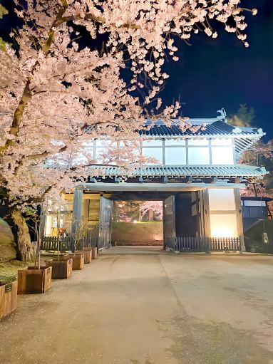 【Aomori Prefecture】The breathtaking night view of cherry blossom rafts in Hirosaki