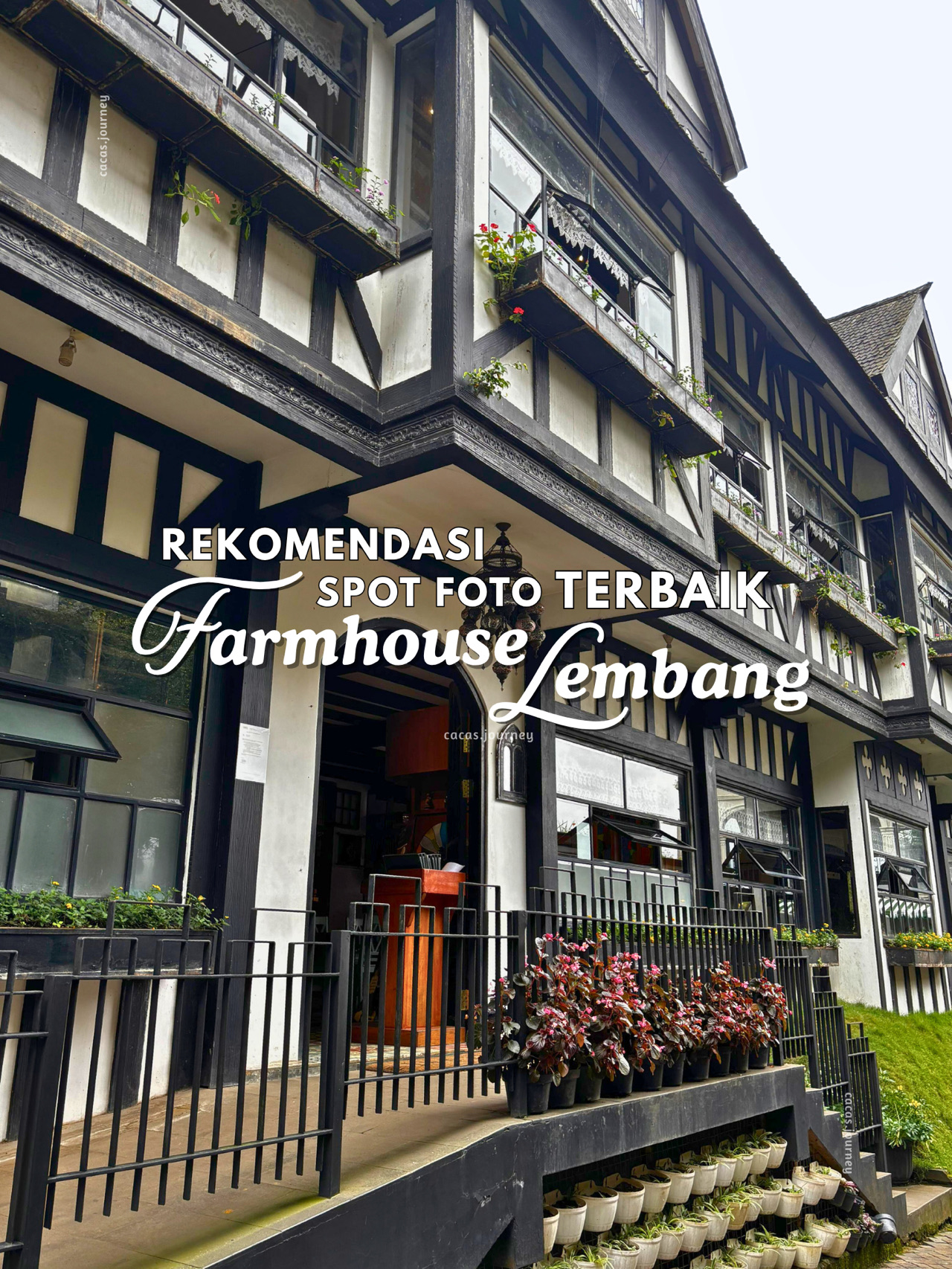 Những điểm chụp ảnh đáng yêu tại Farmhouse Lembang 🐑📸