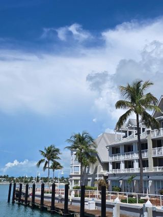 Falling for the Key West rhythm 🌴🥥