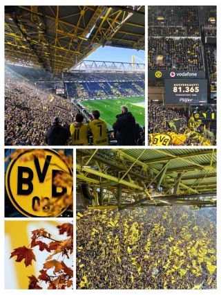 #footballlandmarks 
🏟️ Football Landmark – Signal Iduna Park (Dortmund) 🇩🇪🟡⚫

🌍 Welcome to Germany's Football Fortress!

If there's one stadium every football fan should visit, it's Signal Iduna Park in Dortmund. Home to Borussia Dortmund, this legendary venue is famous for its incredible atmosphere, loyal supporters, and the iconic Yellow Wall—the largest standing supporters' terrace in European football.

Every match day transforms the stadium into a sea of yellow and black, creating one of the loudest and most unforgettable football experiences in the world.

· --

🏟️ Stadium Facts

📍 Location: Dortmund, Germany
👥 Capacity: Over 81,000 spectators
📅 Opened: 1974
🏠 Home Club: Borussia Dortmund (BVB)
⭐ Nickname: The Home of the Yellow Wall

· --

🌟 Why Every Football Fan Should Visit

🟡 Experience the legendary Yellow Wall (Südtribüne)
🎶 Hear 80,000+ fans singing before kickoff
🏆 Watch Bundesliga and UEFA Champions League matches
📸 Enjoy panoramic views from one of Europe's biggest stadiums
🛍️ Visit the BVB Museum and Official Fan Shop

· --

📍 Nearby Attractions

🏛️ German Football Museum
🌳 Westfalenpark
⛪ Reinoldikirche (St. Reinold's Church)
🛍️ Dortmund City Centre
🍺 Traditional German Beer Halls

· --

🍽️ Match-Day Food

🌭 Bratwurst Sausage
🥨 Fresh Pretzels
🍟 Currywurst & Fries
🍺 German Beer
🍰 Black Forest Cake

· --

💡 Visitor Tips

🎟️ Book match tickets well in advance
🚆 Travel by train or U-Bahn for easy stadium access
⏰ Arrive early to experience the pre-match atmosphere
👕 Wear black and yellow to join the famous BVB supporters

· --

⚽ Fun Fact

💛 The Yellow Wall (Südtribüne) holds around 25,000 standing supporters, making it the largest single-tier standing terrace in European football and one of the most iconic sights in the sport.

🇩🇪 Signal Iduna Park isn't just a stadium—it's where football passion reaches its loudest and most unforgettable level!

#signalidunapark  #borussiadortmund  #bvb  #yellowwall  #bundesliga  #footballlandmark  #footballtravel  #germany  #footballfans  #sportstourism  #travel2026 