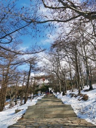 ❄️ Mount Tai | A Perfect Winter Day Above the Clouds
