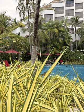 Would You Spend S$300 a Night on a Penang Hotel? 