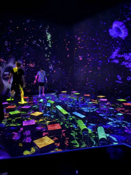 Tokyo Family Attractions | teamLab Planets Toyosu] | Trip.com Tokyo