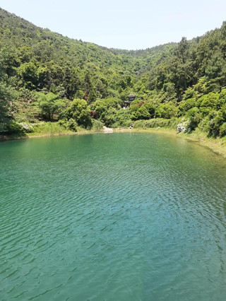 旅遊,是一場不設終點的自我尋回,是對生活本質的深情凝視。我們離開熟悉的街角,走進風的深處,讓雙腳去觸摸大地的溫度,讓雙眼去收藏光影的詩意。沒有必須抵達的遠方,沒有非看不可的風景,只有隨心而動的腳步,和隨遇而安的從容。錯路也理直氣壯,因為每一條岔路都藏著命運的伏筆,每一次迷路都是與真實自己的重逢。我們在無人的海灘上聽潮起潮落,在荒涼的山徑上感受雲捲雲舒,在陌生的小鎮裡與一隻貓對視,忽然懂了什麼是寧靜。旅遊不是逃離現實,而是以更清醒的姿態回到現實;不是為了忘記,而是為了記得自己曾如何熱烈地活過。它讓我們在行走中學會謙卑,在孤獨中懂得豐盈,在偏離中發現:原來最美的風景,不在地圖上,而在心裡。我們用腳步寫詩,用目光作畫,在每一次出發與歸來之間,完成一場無聲的蛻變。旅遊,是靈魂的深呼吸,是生命最溫柔的遠行。
#新年好去處2026#travel2026